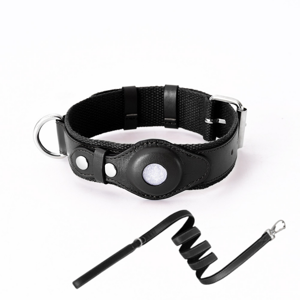 GPS-hondenhalsband met Wereldwijde Tracking zonder Abonnement – GPS Tracker Hond met App, 3 Maten, 5 Kleuren