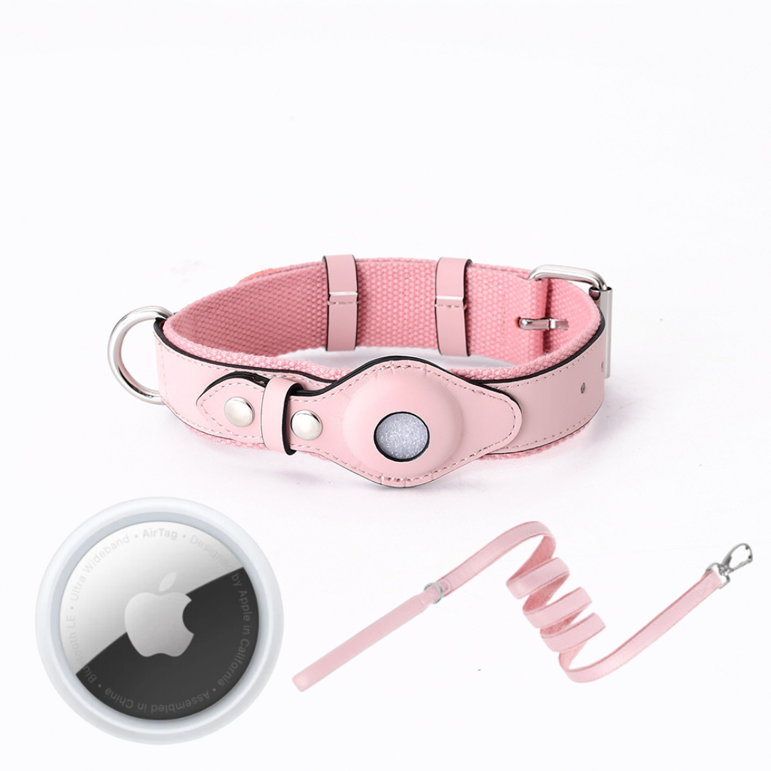 GPS-hondenhalsband met Wereldwijde Tracking zonder Abonnement – GPS Tracker Hond met App, 3 Maten, 5 Kleuren