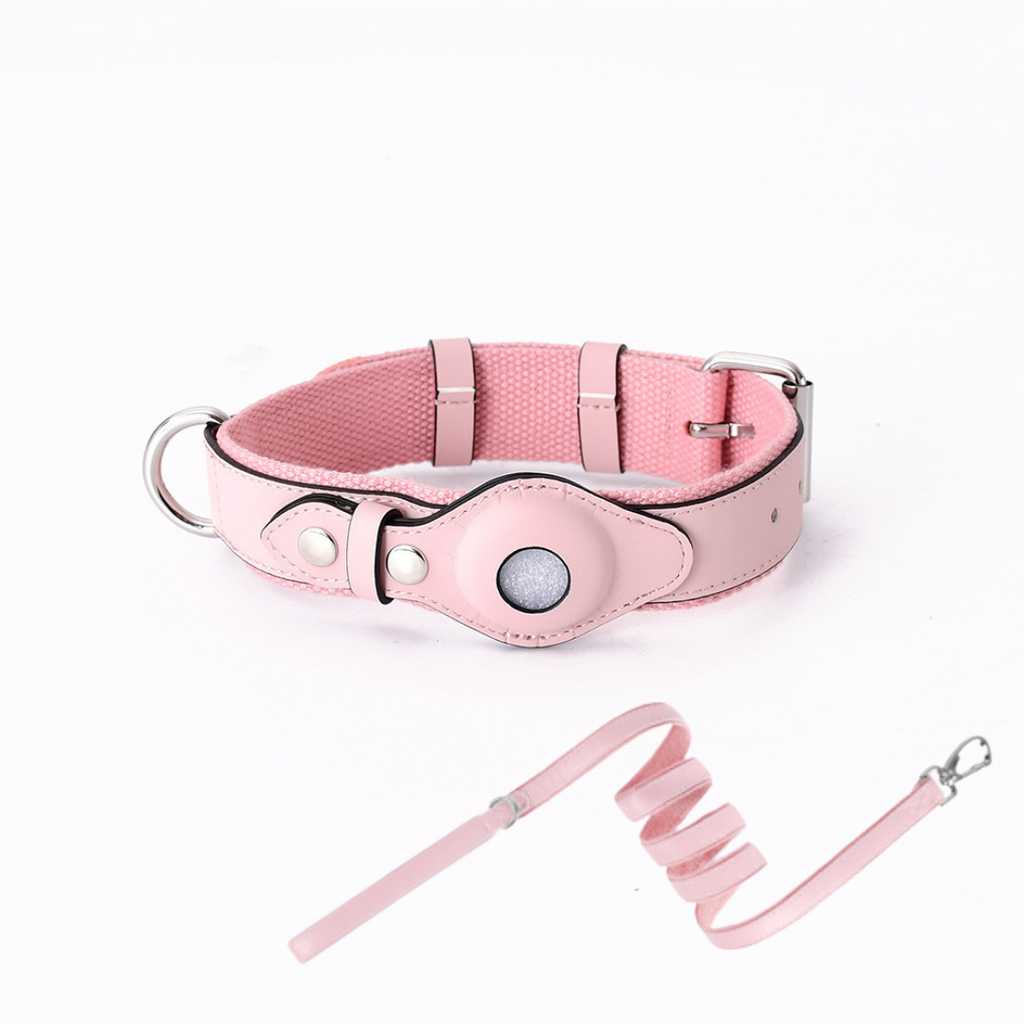 GPS-hondenhalsband met Wereldwijde Tracking zonder Abonnement – GPS Tracker Hond met App, 3 Maten, 5 Kleuren