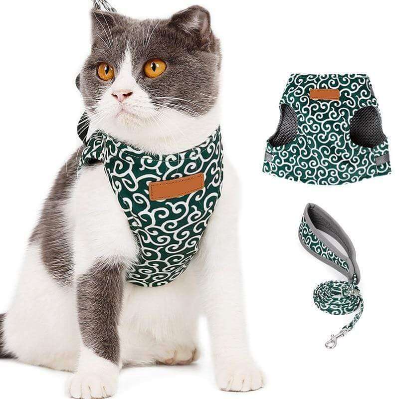 Kattentuigje met Riem – Verstelbaar Tuigje van Ademend Mesh met Snelsluiting & 1,2 m Lijn, XS-S, Blauw, Groen of Rood Groen