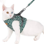 Kattentuigje met Riem – Verstelbaar Tuigje van Ademend Mesh met Snelsluiting & 1,2 m Lijn, XS-S, Blauw, Groen of Rood