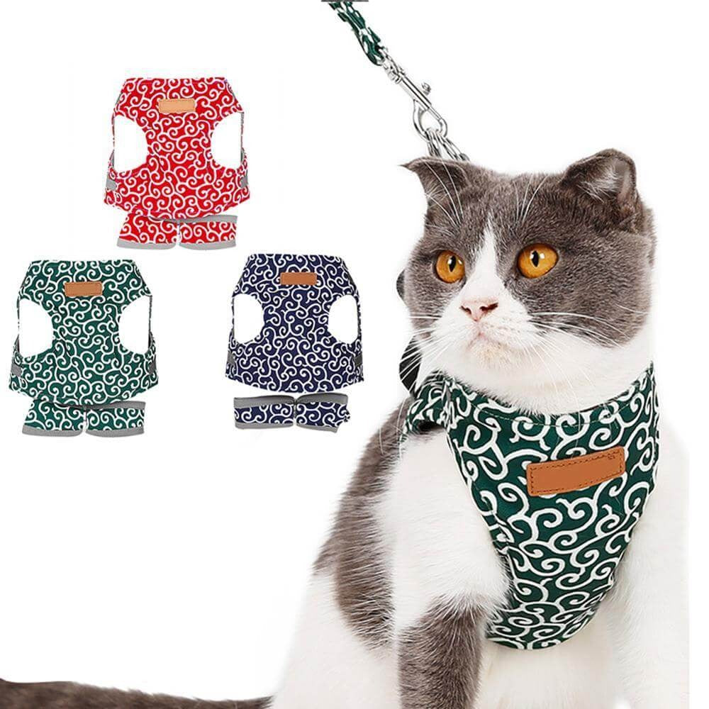 Kattentuigje met Riem – Verstelbaar Tuigje van Ademend Mesh met Snelsluiting & 1,2 m Lijn, XS-S, Blauw, Groen of Rood
