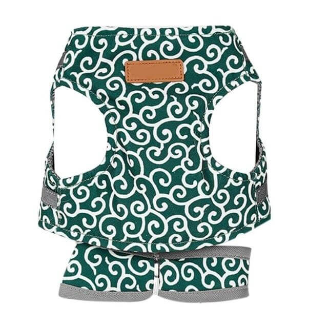 Kattentuigje met Riem – Verstelbaar Tuigje van Ademend Mesh met Snelsluiting & 1,2 m Lijn, XS-S, Blauw, Groen of Rood