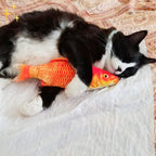 Bewegende Vis Kattenspeeltje – 4 Stuks Interactief Flapperende Vissen met Bewegingssensor, USB Oplaadbaar